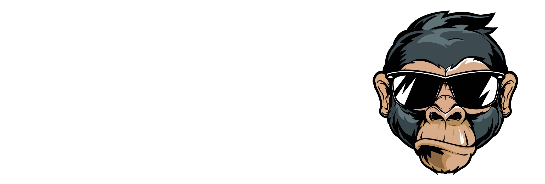 The 3rd Monkey